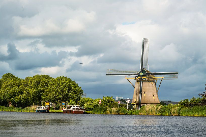 Mill the Swan by Ivo de Rooij