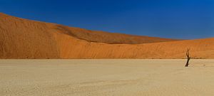 Deadvlei