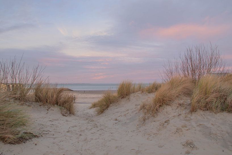 Zum Strand von Dimitri van den Berg