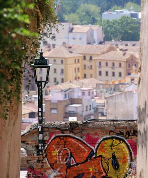 city view Granada van Jan Katuin