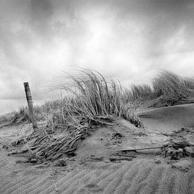 Na de storm by Dirk van der Plas