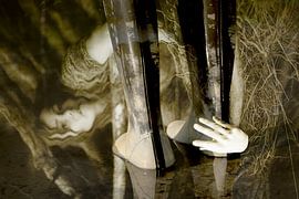 Es ist Musik drin von True Color Stories