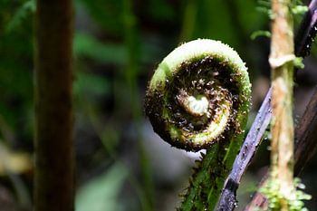 Beginning of something beautiful