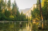 Yosemite National Park von Tashina van Zwam Miniaturansicht
