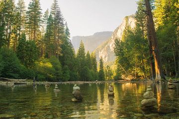 Yosemite National Park von Tashina van Zwam