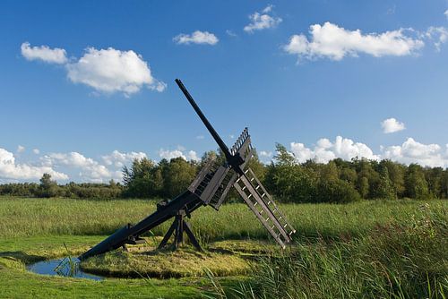 Tsjasker in 'De Weerribben'