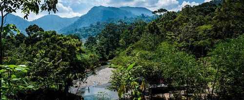 panorama rivier, panoramic river