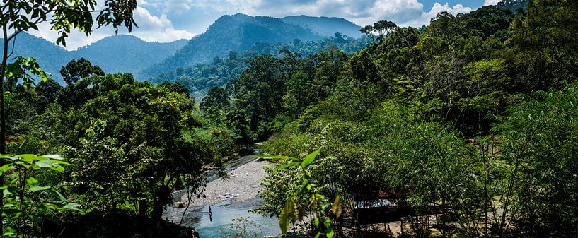 panorama rivier, panoramic river van Corrine Ponsen