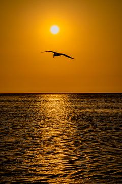 Sonnenuntergang in Walvis Bay Namibia, Afrika von Patrick Groß