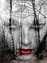 The face in the forest by Gabi Hampe thumbnail