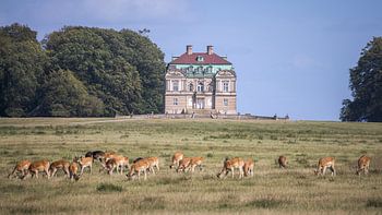Un cerf devant Klampenborg, le pavillon de chasse de l'Hermitage à Dyrehav