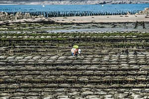 Oesterbaai nabij St Jacut de la Mer in Bretagne, Frankrijk