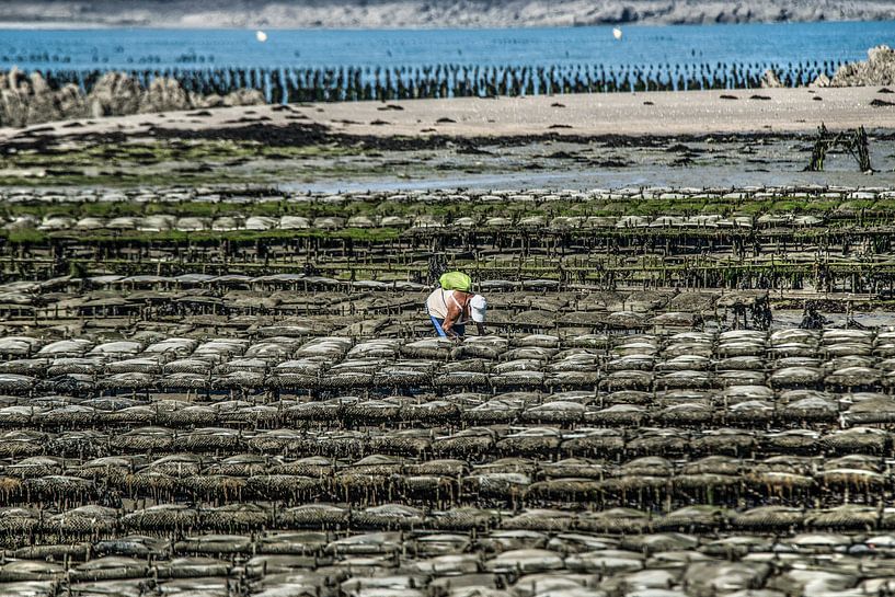 Oesterbaai nabij St Jacut de la Mer in Bretagne, Frankrijk by Harrie Muis