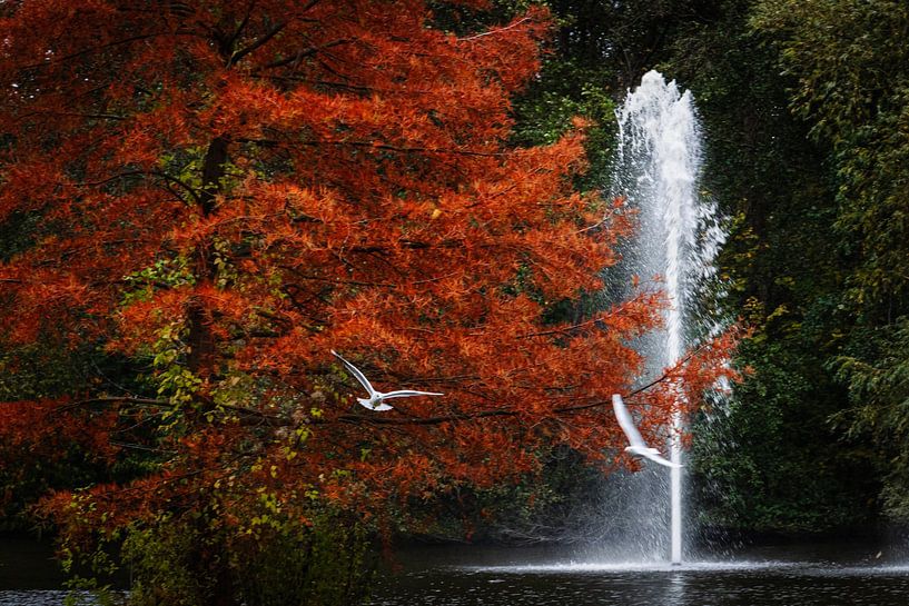 Autumn by vascofialho.nl