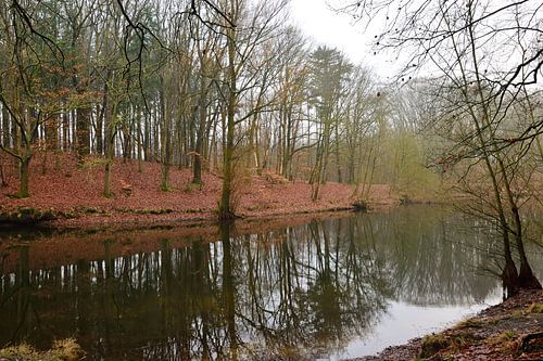 Prachtige reflectie