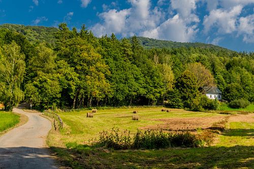 Ontspannen nazomerwandeling op de Rennsteig/Thuringische Wald