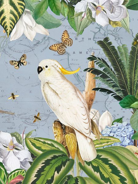 Weiße Kakadus Tropische Tierwelt Exotische Dschungel Leben 2 von Floral Abstractions