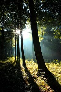 Sonnenstrahlen im Frühherbst