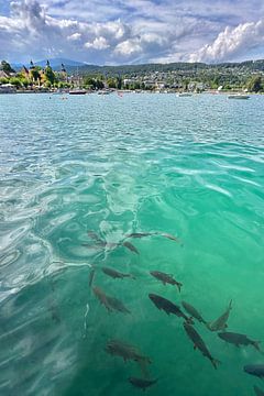 Vissen in de turquoise Wörthersee van Markus Jerko