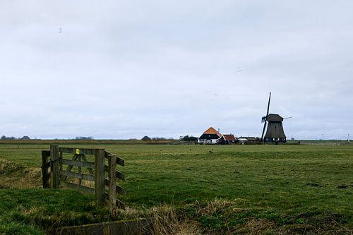 Bauernlandschaft, Pettemerpolder Nord-Holland