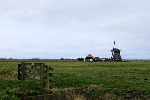 Boerenlandschap, Pettemerpolder Noord-Holland