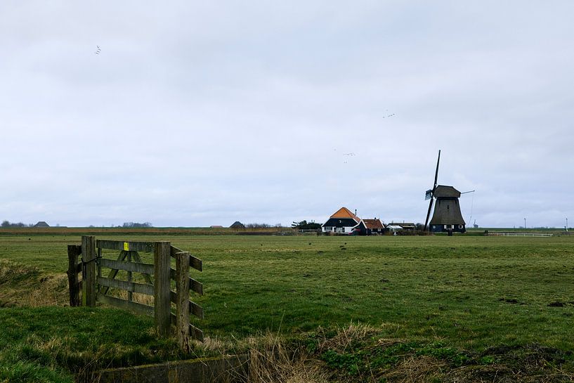 Boerenlandschap, Pettemerpolder Noord-Holland van Jeroen van Esseveldt