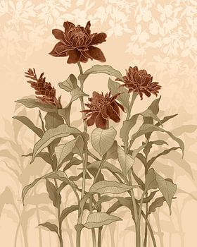 Roter Ingwer - weißer Ingwer