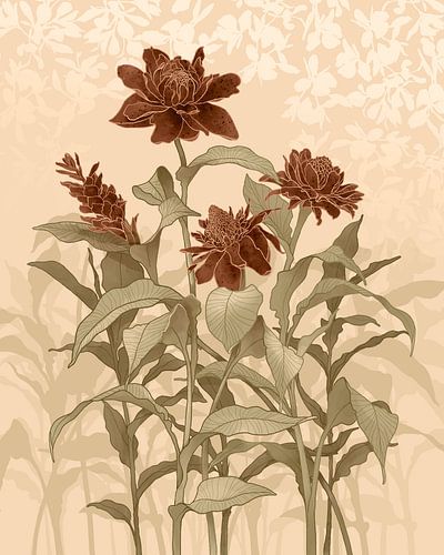 Rode gember - witte gember