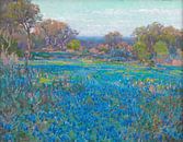 Ein Feld von Blue Bonnets, Sonnenlicht am späten Nachmittag, Julian Onderdonk von Meisterhafte Meister Miniaturansicht