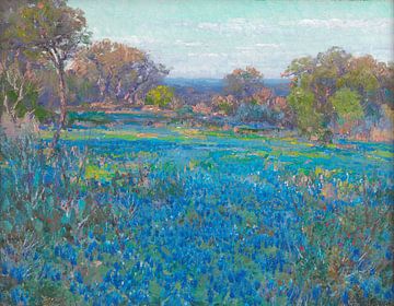 Een veld van blauwe lupines, late middag zonneschijn, Julian Onderdo