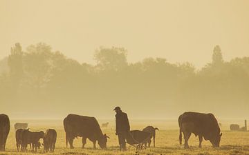 Landwirt mit seinen Kühen von Dirk van Egmond