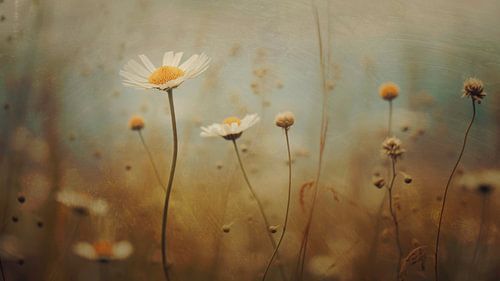 Nostalgic Nature No 6