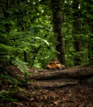 Riesenwälder 1 von Kirsten Scholten