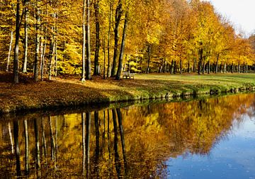 Automne sur Leontien van der Linden - Wapenaar