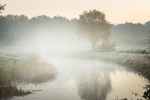 Nebeliger Kanal mit Baum und Nebel