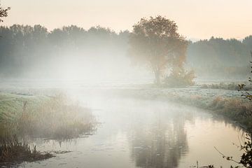 mistig vaartje met een boom en nevel van KB Design & Photography (Karen Brouwer)