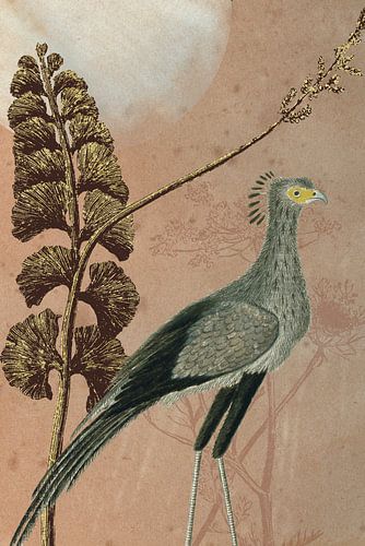 Secretarisvogel op pastel