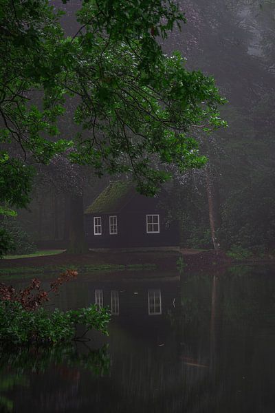 Crown Estate Het Loo in the mist by Samantha Rorijs