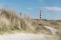 Vuurtoren vanaf de duinen van Ameland