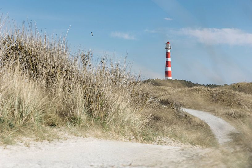 Vuurtoren vanaf de duinen van Ameland van Dana Schoenmaker