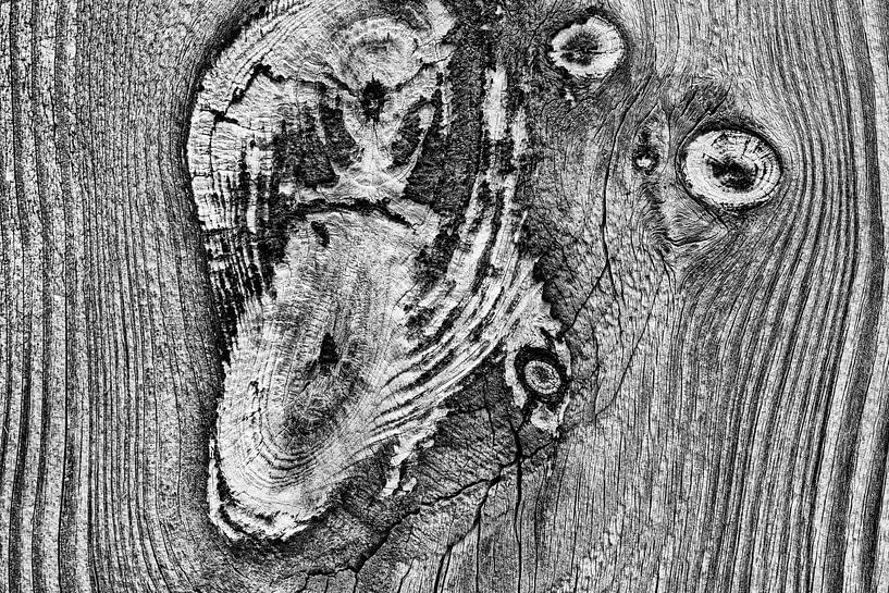 Verwittertes Holz in Schwarz und Weiß von Chris Stenger