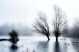 Meinerswijk Uiterwaardenpark, Arnhem
