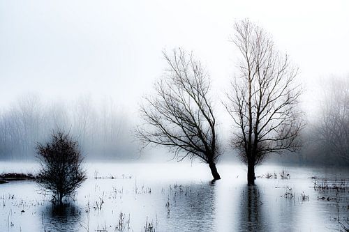 Uiterwaardenpark Meinerswijk, Arnhem