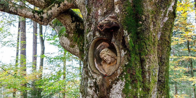 Lord Balz by Jürgen Wiesler
