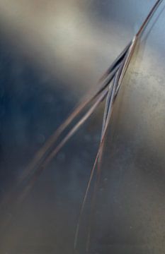 Atmosphere realm - soothing and comforting image by Marly De Kok