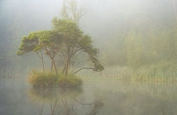 Matinée mystique brumeuse au Diaconat à Oisterwijk