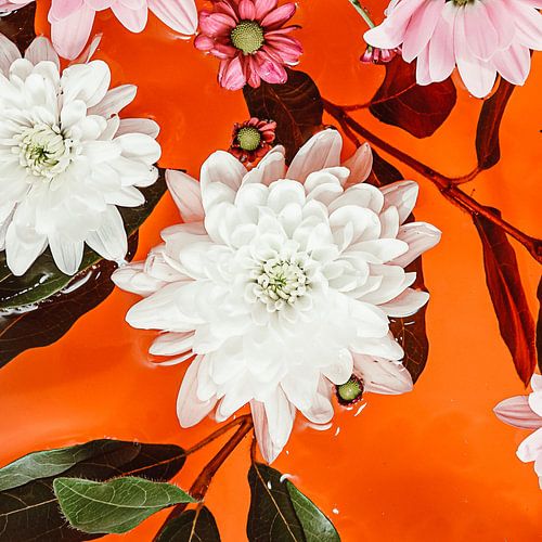 Oriental Evening Red