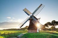 morning summer sunshine behind Dutch windmill von Olha Rohulya Miniaturansicht