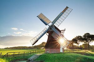 morning summer sunshine behind Dutch windmill van Olha Rohulya