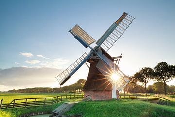 morning summer sunshine behind Dutch windmill